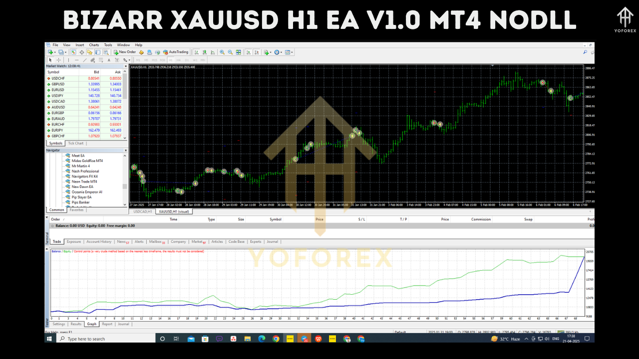 Bizarr XAUUSD H1 EA V1.0