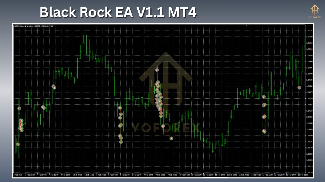 Black Rock EA V1.1 MT4