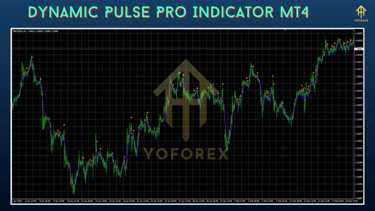 Dynamic Pulse Pro Indicator 2 Dynamic Pulse Pro Indicator