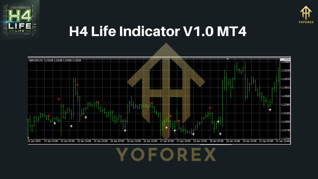 H4 Life Indicator MT4