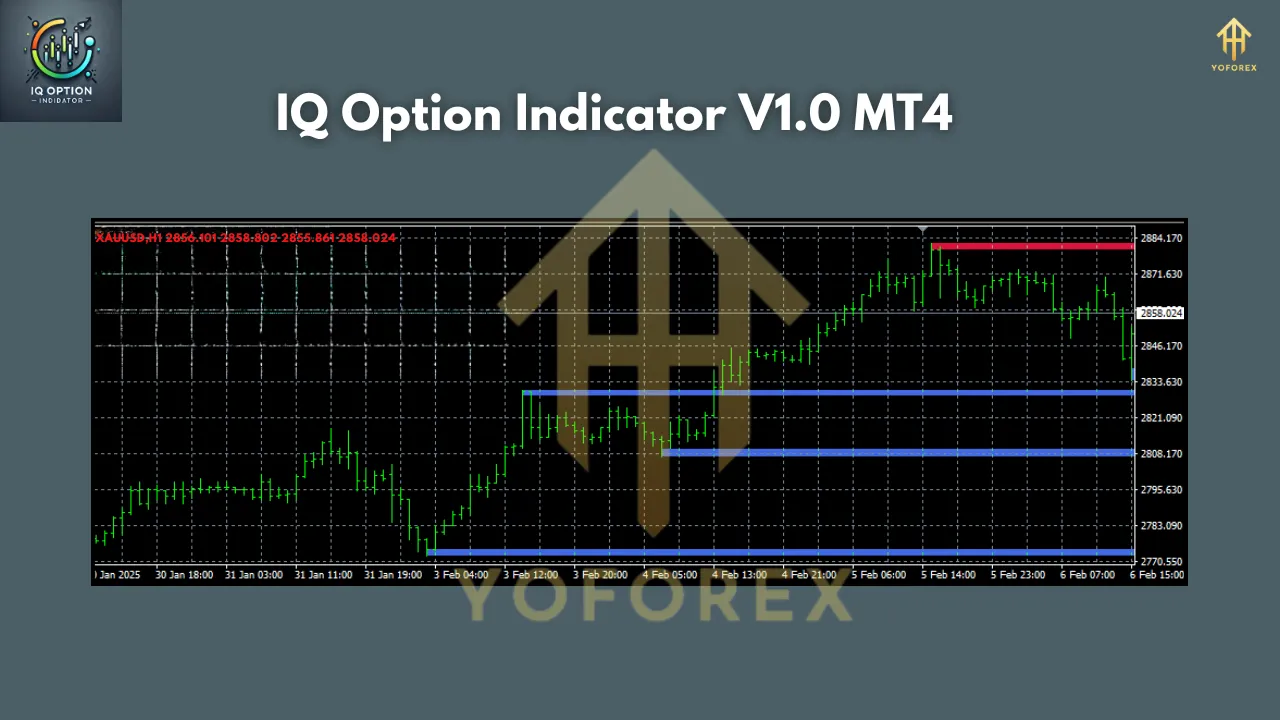 IQ Option Indicator V1.0 MT4