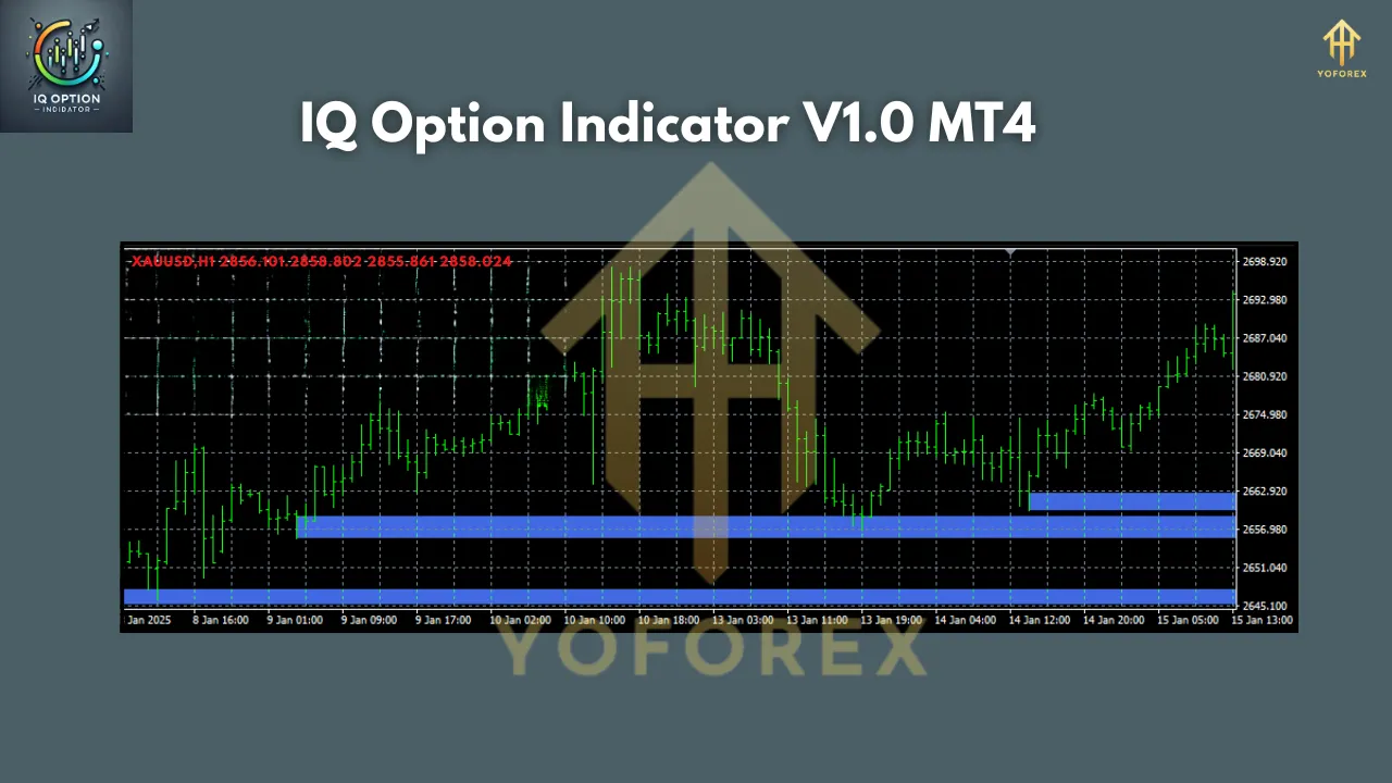 IQ Option Indicator V1.0 MT4