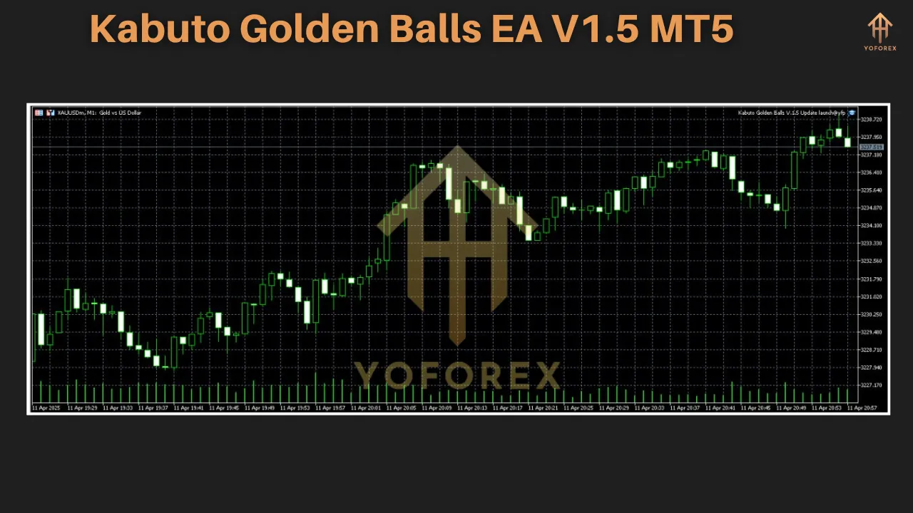 Kabuto Golden Balls EA V1.5 2 Kabuto Golden Balls EA V1.5 MT5