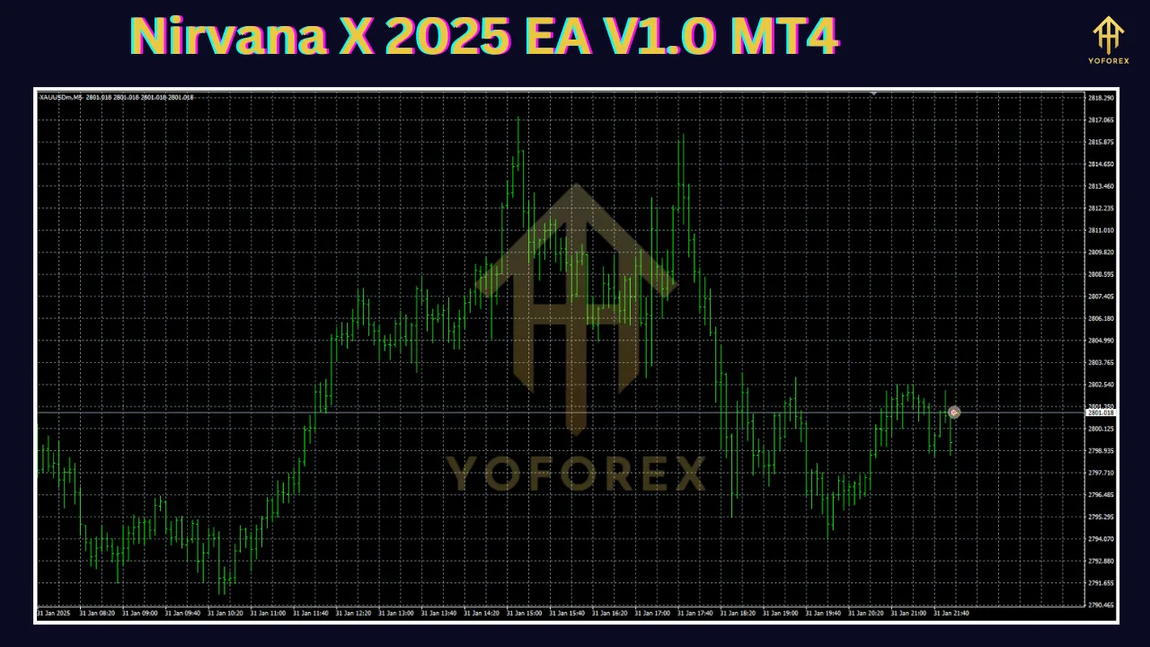 Nirvana X 2025 EA 2 Nirvana X 2025 EA