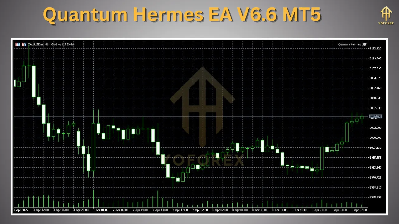 Quantum Hermes EA V6.6 MT5