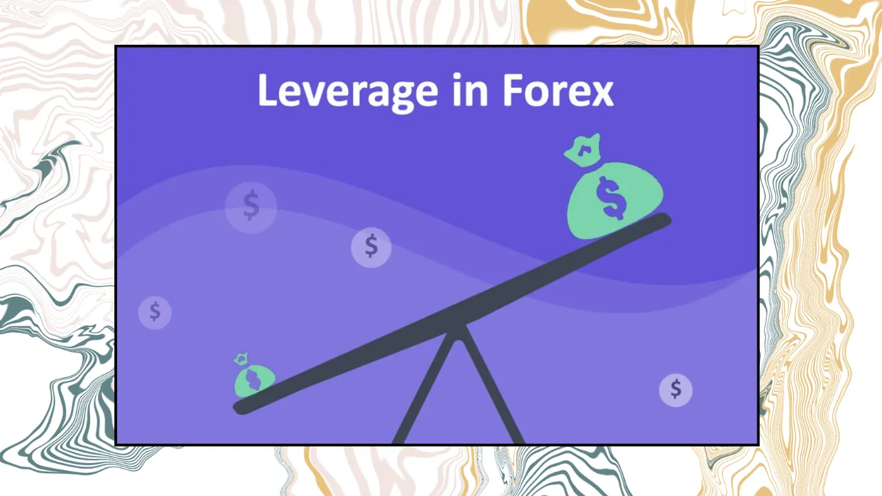  Shin vs. Flexy Markets