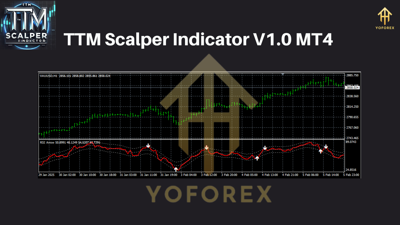 TTM Scalper Indicator MT4