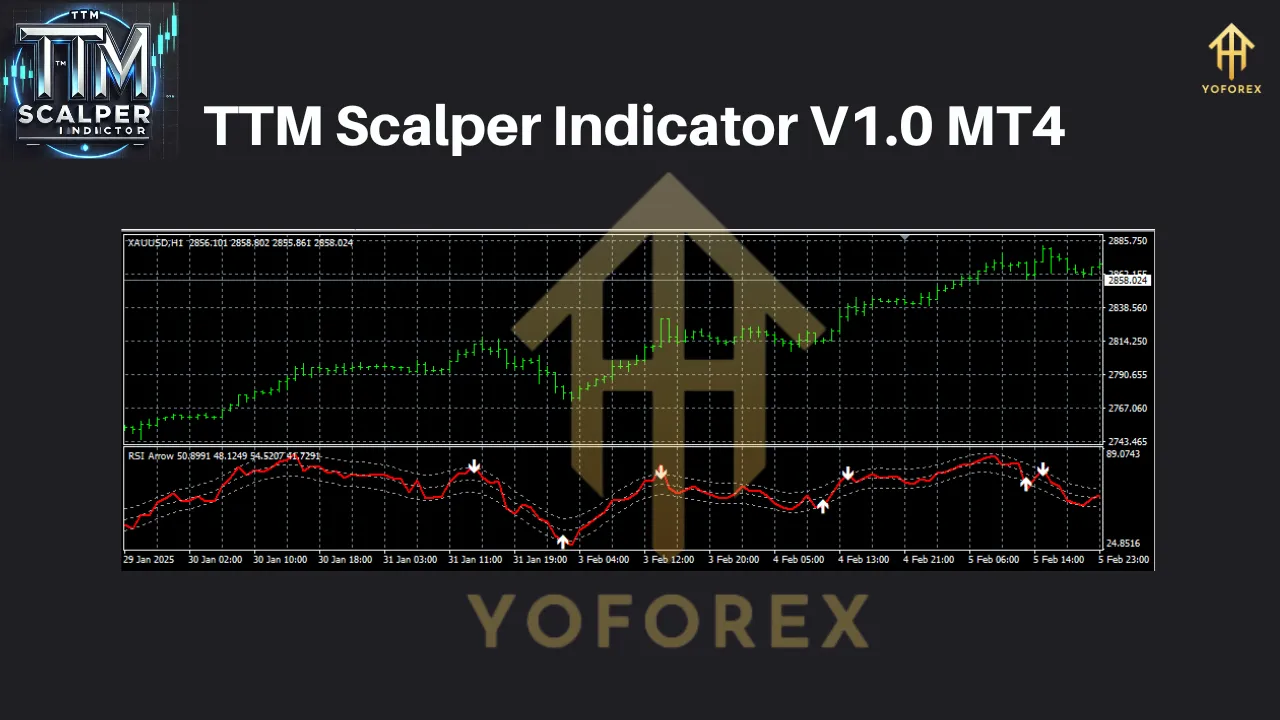TTM Scalper Indicator MT4 2 TTM Scalper Indicator MT4