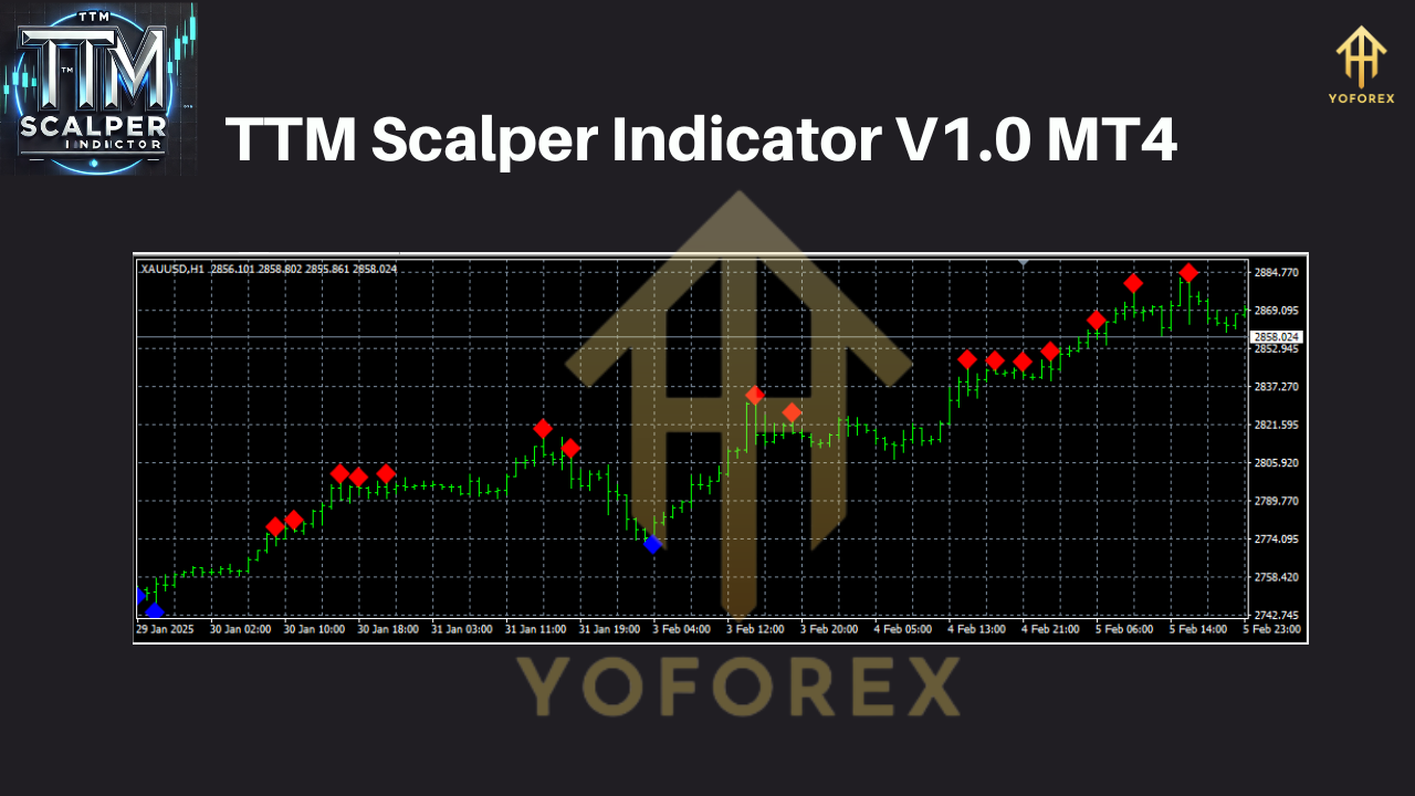TTM Scalper Indicator MT4