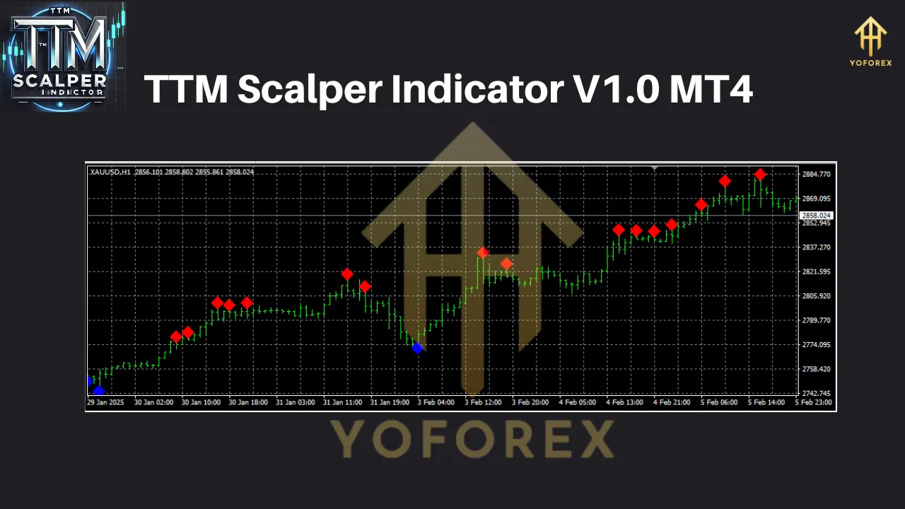 TTM Scalper Indicator MT4 3 TTM Scalper Indicator MT4