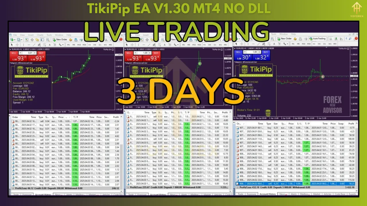 TikiPip EA V1.0 – Your Trusted Forex Scalping Partner 5 TikiPip EA V1.30