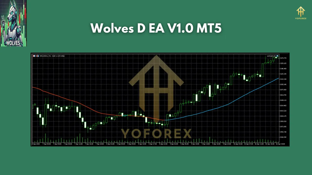 Wolves D EA V1.0 MT5 2 Wolves D EA V1.0 MT5