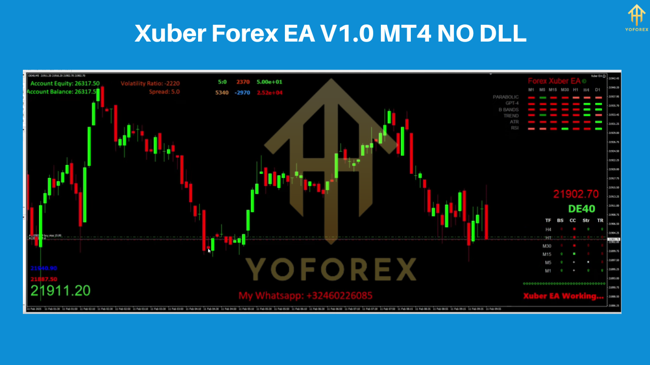 Xuber Forex EA V1.0