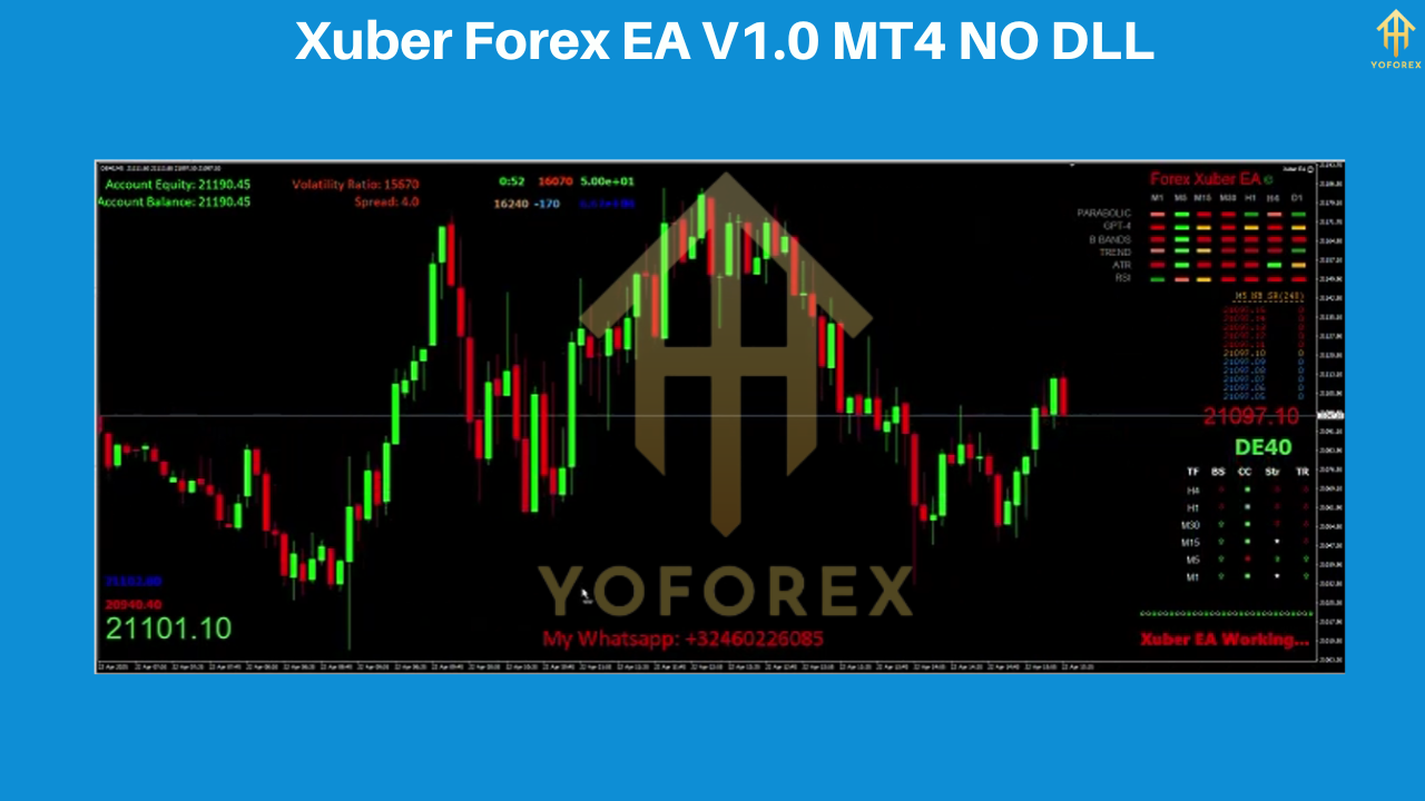 Xuber Forex EA V1.0