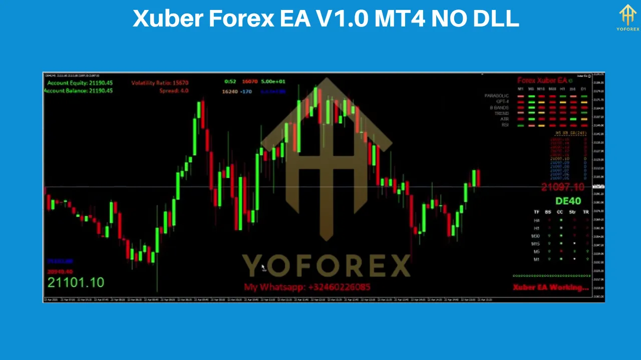 Xuber Forex EA V1.0 MT4: Boost Your Trading with Advanced Automated Strategies 2 Xuber Forex EA V1.0