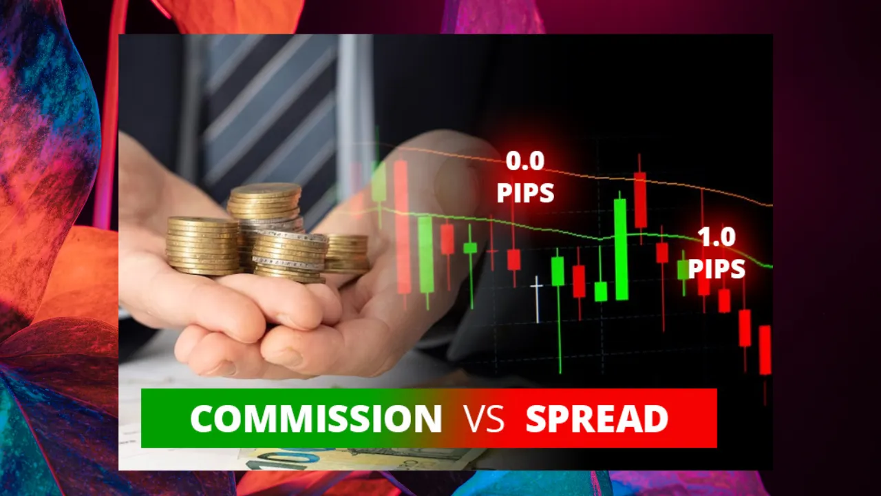 BlackBull Markets vs. Flexy Markets: Which Forex Broker is Better in 2025? 5 BlackBull Markets vs. Flexy Markets