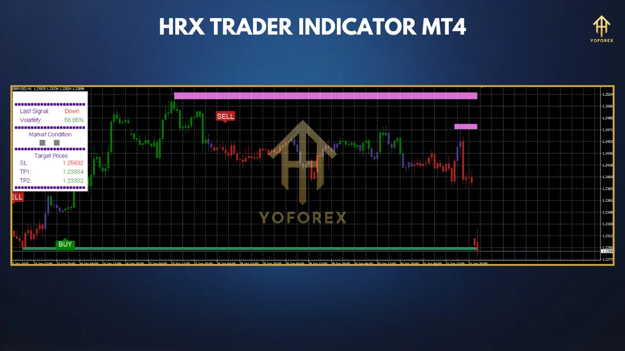 hrx 11