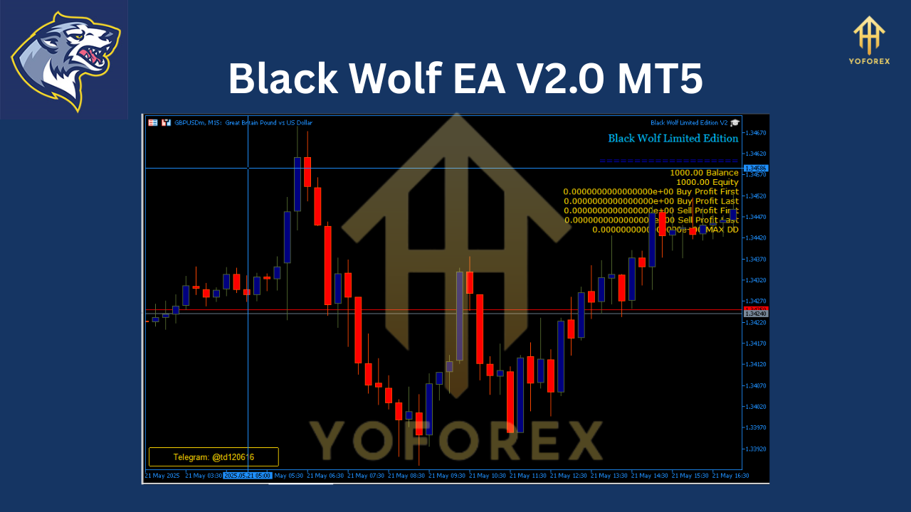 Black Wolf EA V2.0 MT5