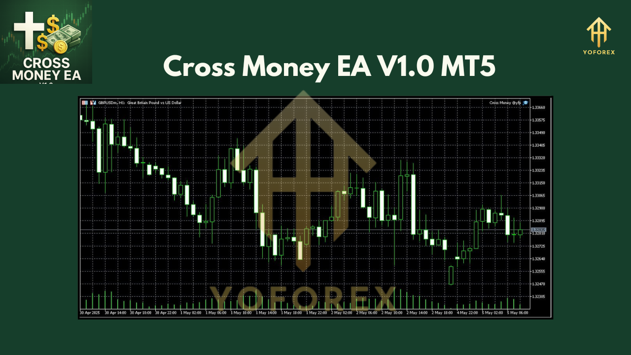 Cross Money EA V1.0 MT5