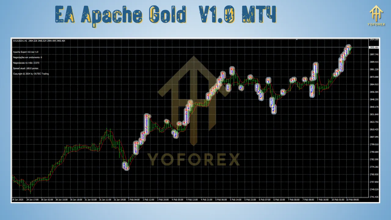 EA Apache Gold V1.0 2 EA Apache Gold V1.0