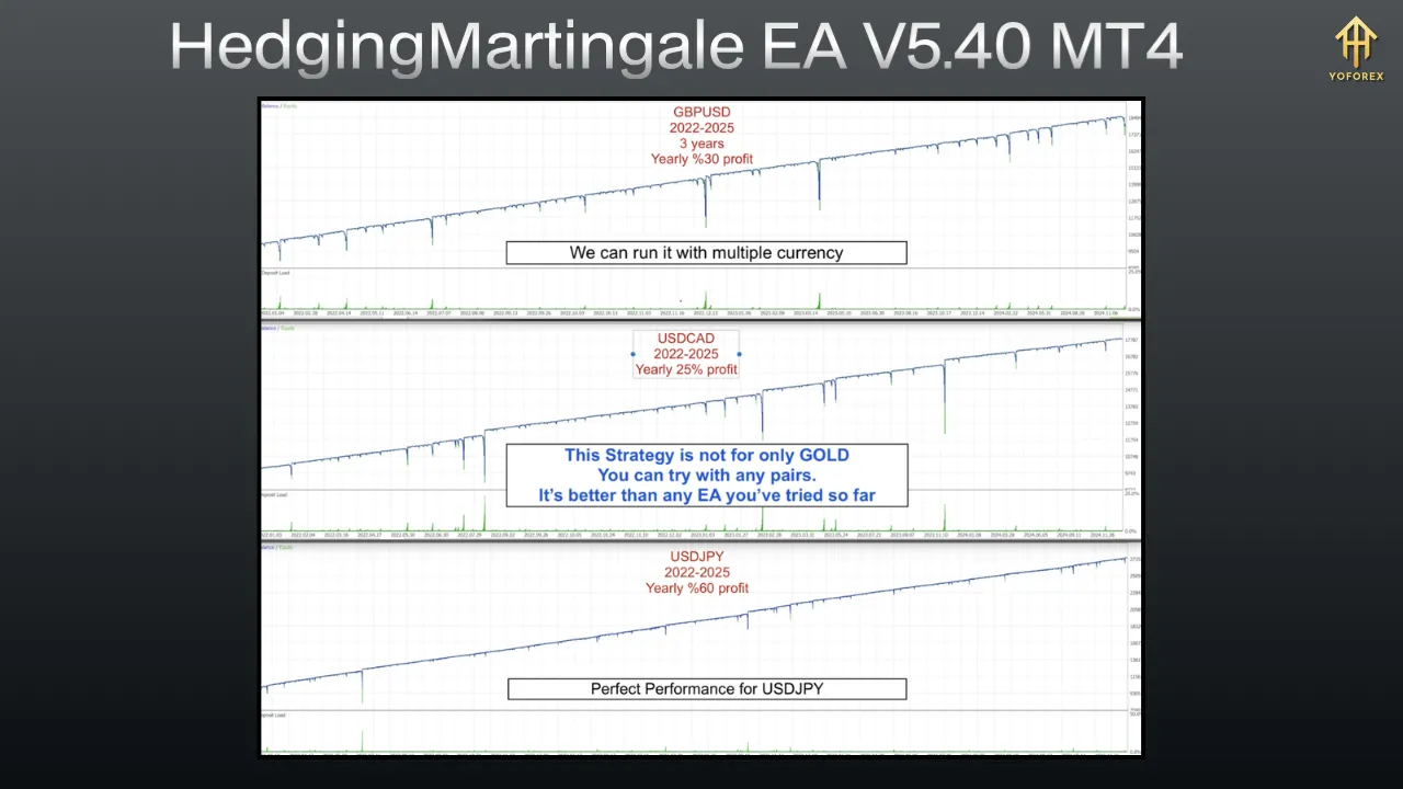 HedgingMartingale EA V5.40 5 HedgingMartingale EA V5.40