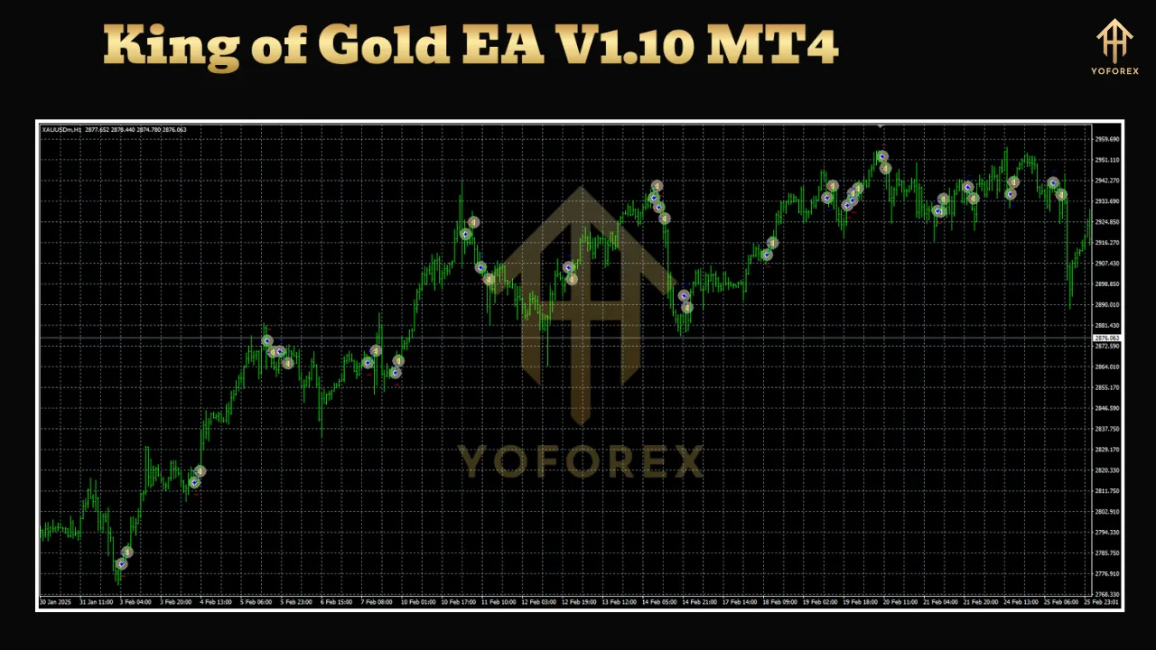 King of Gold EA V1.10