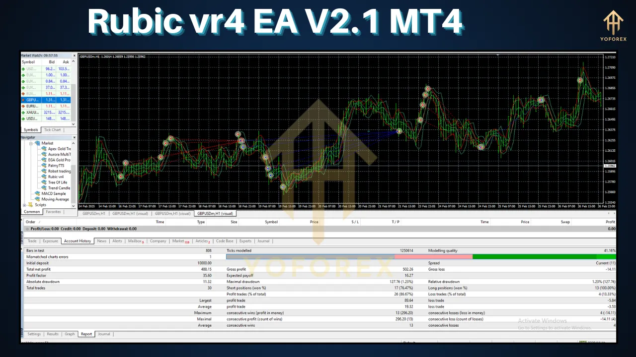 Rubic vr4 EA V2.1 2 Rubic vr4 EA V2.1