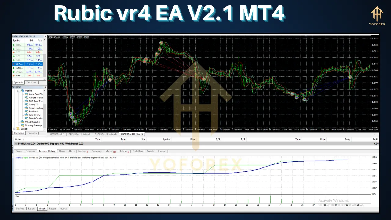Rubic vr4 EA V2.1 3 Rubic vr4 EA V2.1