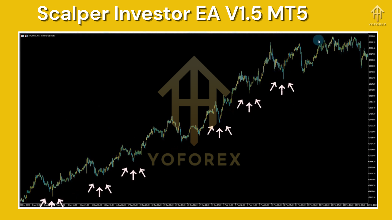 Scalper Investor EA V1.5