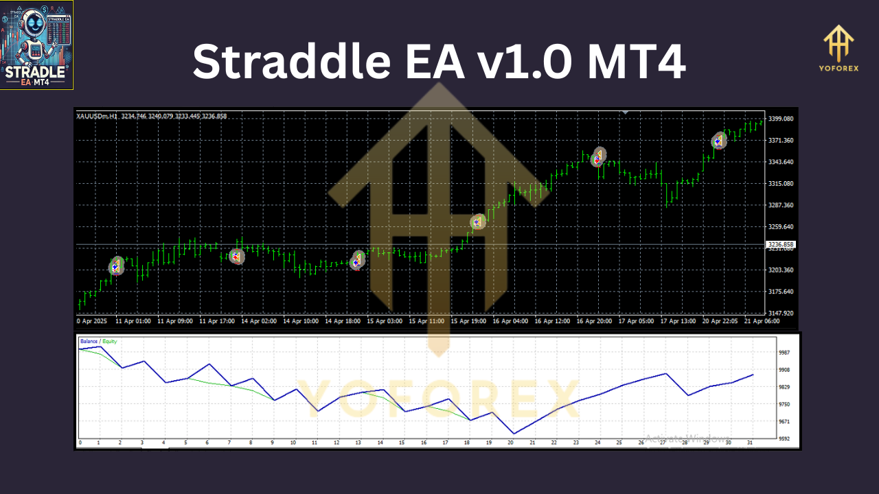 Straddle EA v1.0 MT4