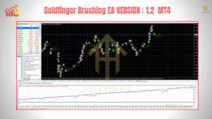 TEAM SEO 2025 05 30T181455.158