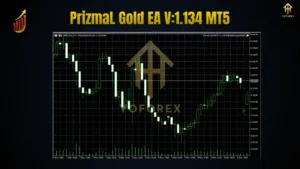 PrizmaL Gold EA MT5 v1.134 β Precision Gold Trading Strategy - FREE DOWNLOAD 3 TEAM SEO