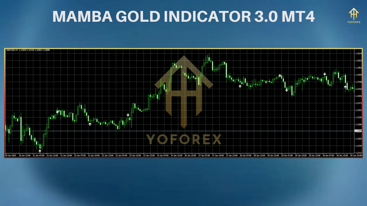 Mamba Gold 3.0 Indicator MT4 โ Precision Trading for Profitable Results 2 TEAM SEO 51