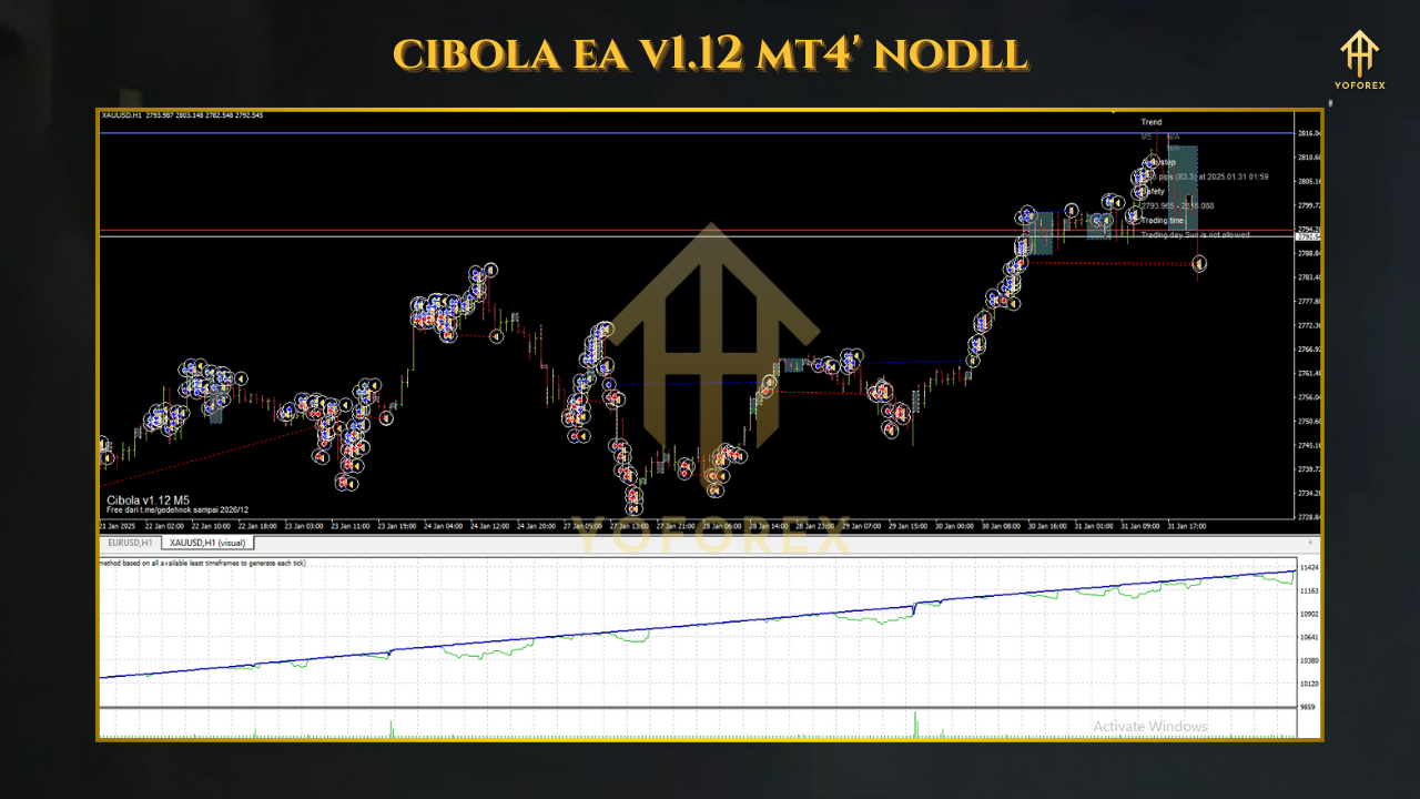 Cibola EA V1.12 MT4 - The Ultimate Guide to Automated Forex Trading Success 2 TEAM SEO 65 4