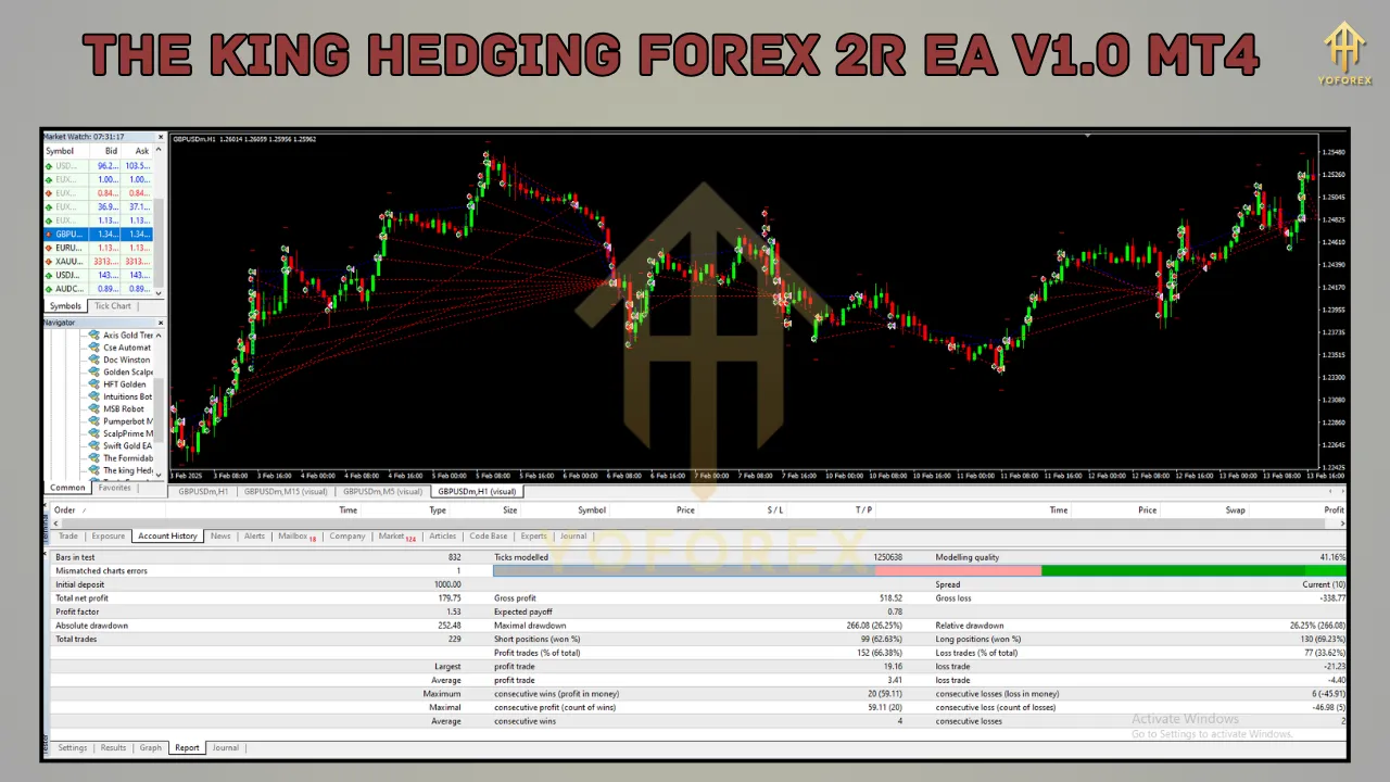 The King Hedging Forex 2R EA V1.0 2 The King Hedging Forex 2R EA V1.0