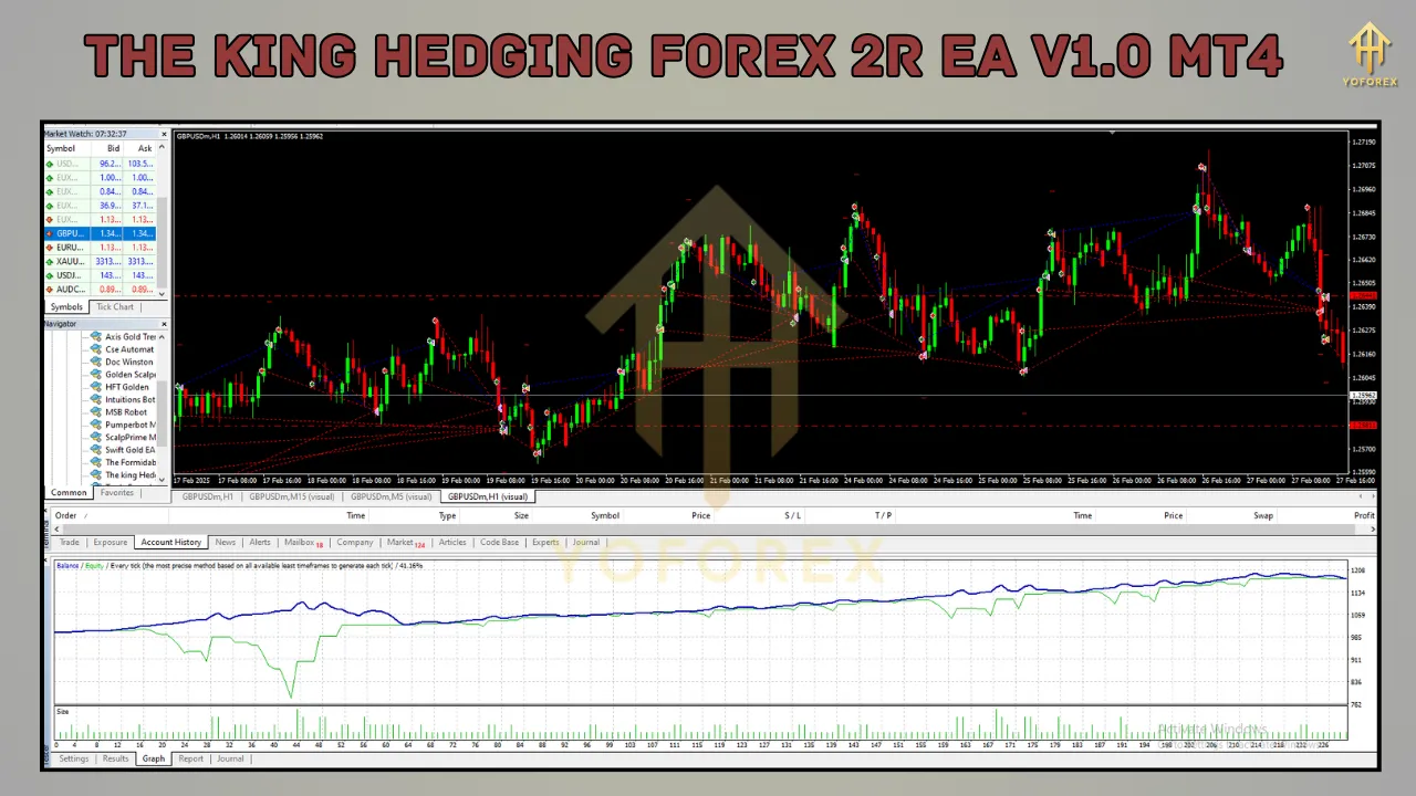 The King Hedging Forex 2R EA V1.0 4 The King Hedging Forex 2R EA V1.0