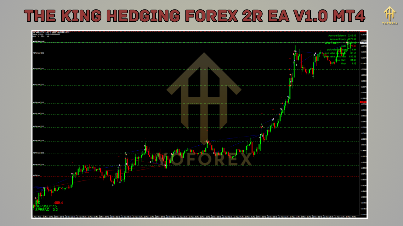 The King Hedging Forex 2R EA V1.0
