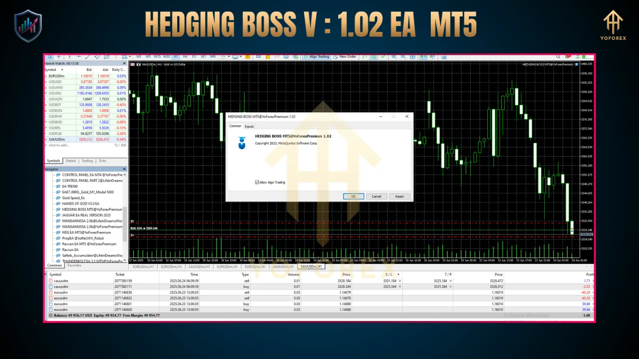 Hedging Boss V1.02 EA MT5 3 BITHI 2025 06 24T131513.615