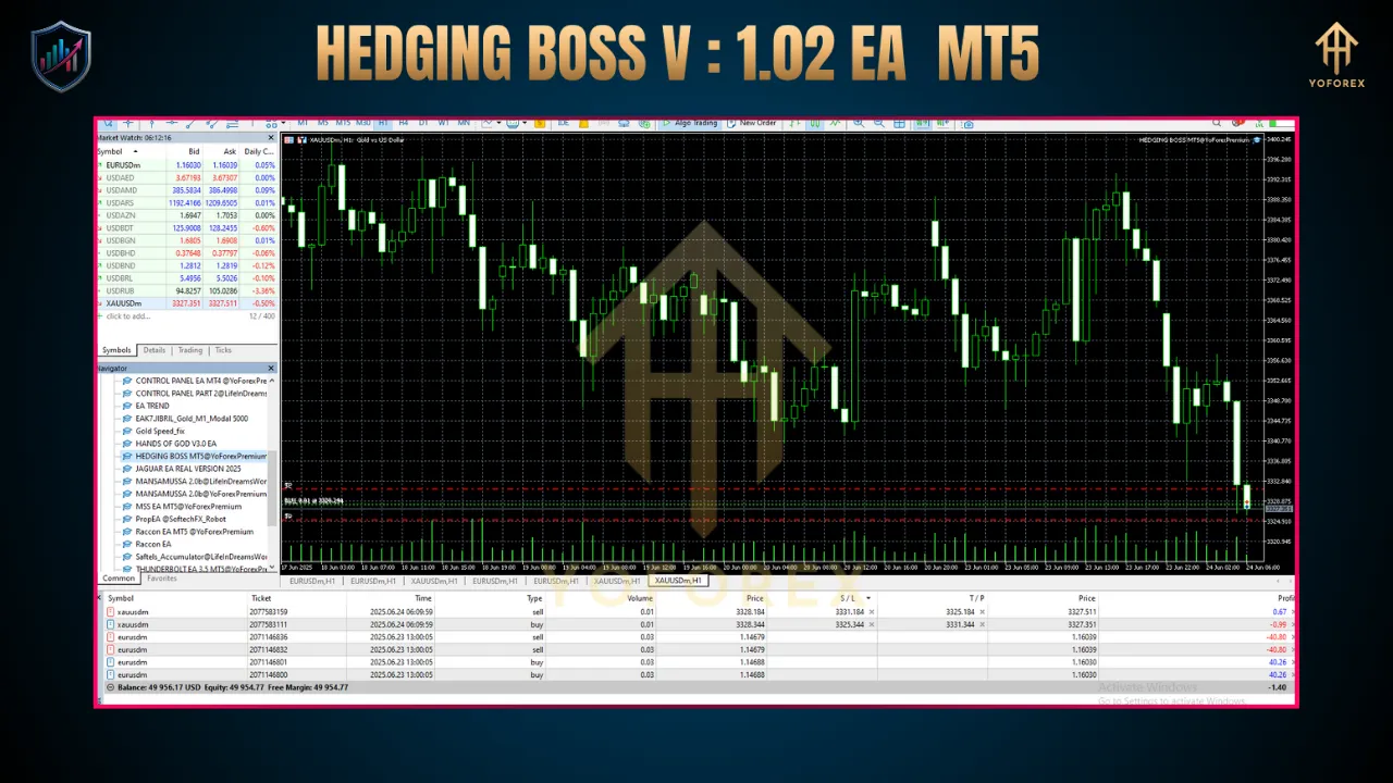 Hedging Boss V1.02 EA MT5 2 BITHI 2025 06 24T131628.508
