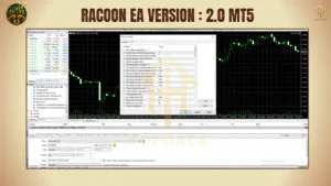 The Raccoon EA Version 2.0 MT5 – A Tactical Scalping & Swing Trading Expert Advisor - FREE DOWNLOAD 3 BITHI 8