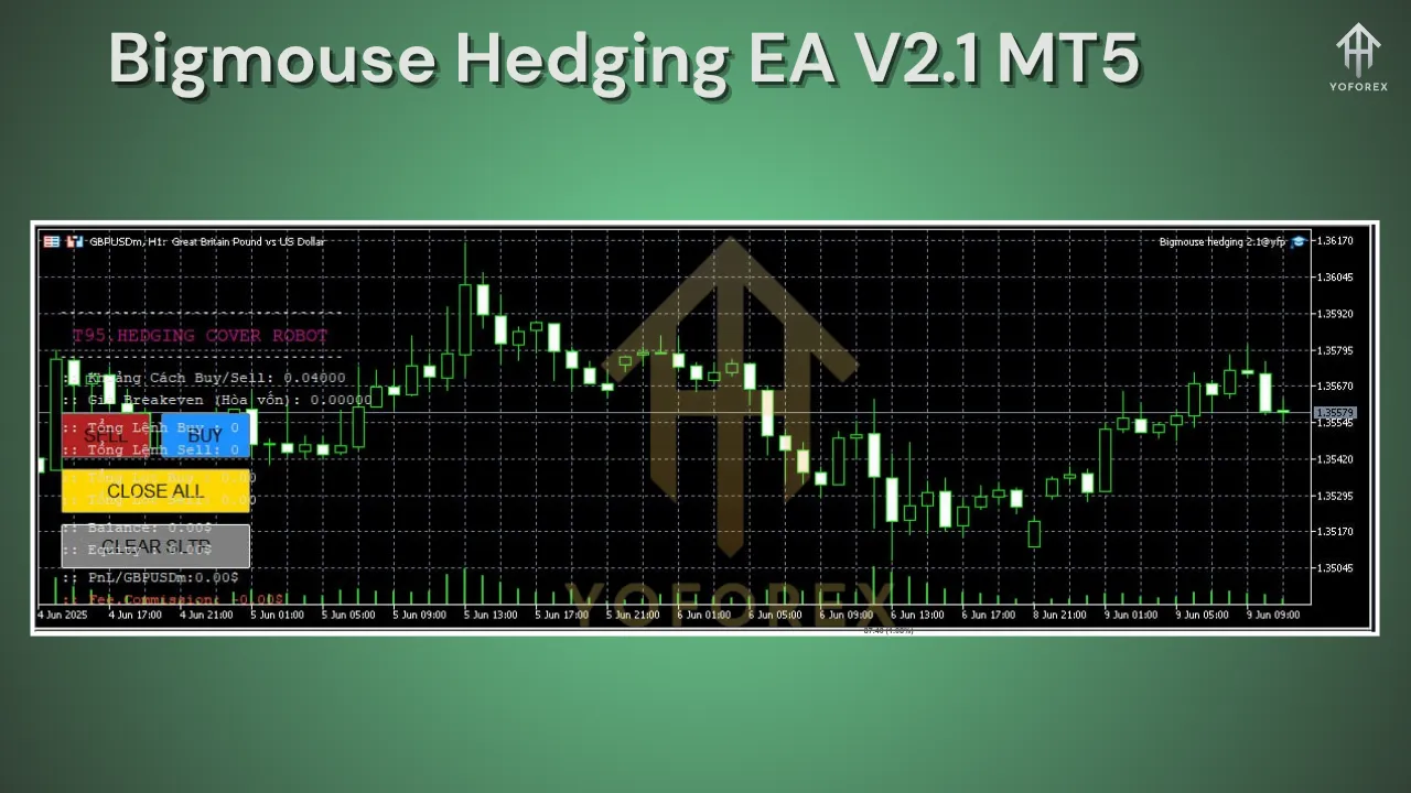 Bigmouse Hedging EA V2.1 MT5 2 Bigmouse Hedging EA V2.1 MT5