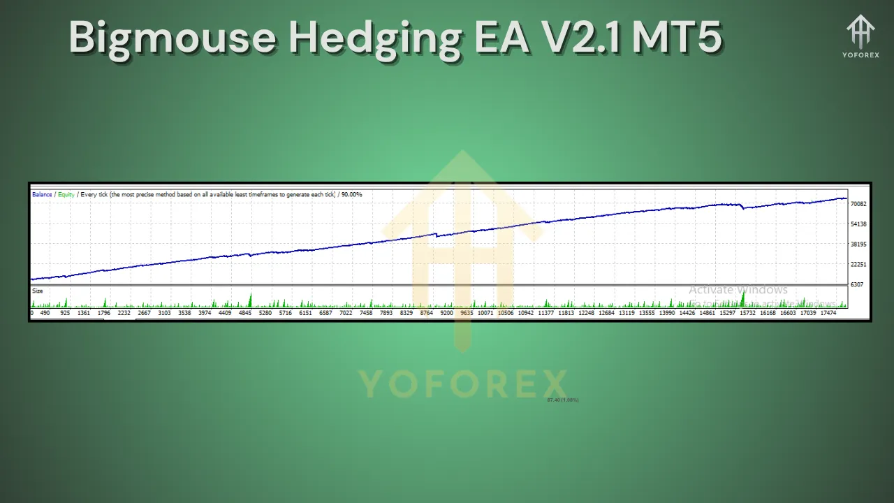 Bigmouse Hedging EA V2.1 MT5 3 Bigmouse Hedging EA V2.1 MT5