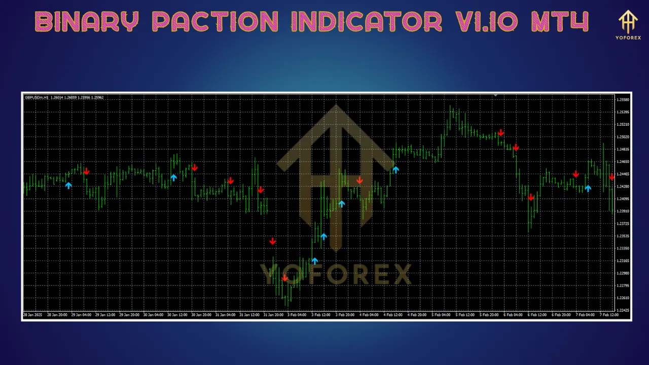 Binary Paction Indicator V1.10 MT4