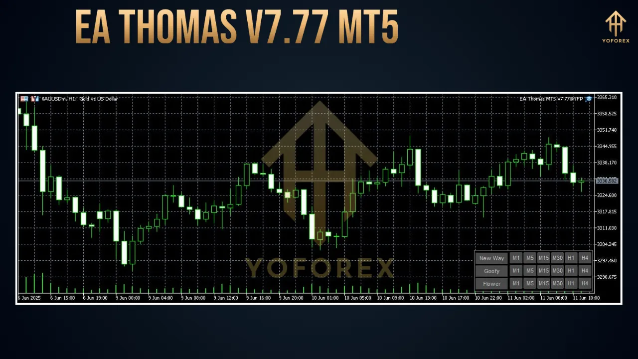 EA Thomas V7.77 MT5 2 EA Thomas V7.77 MT5