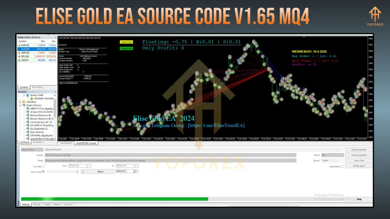Elise Gold EA Source Code V1.65 MQ4