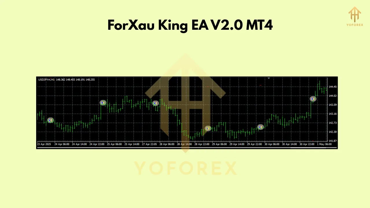 ForXau King EA V2.0 MT4 3 ForXau King EA V2.0 MT4