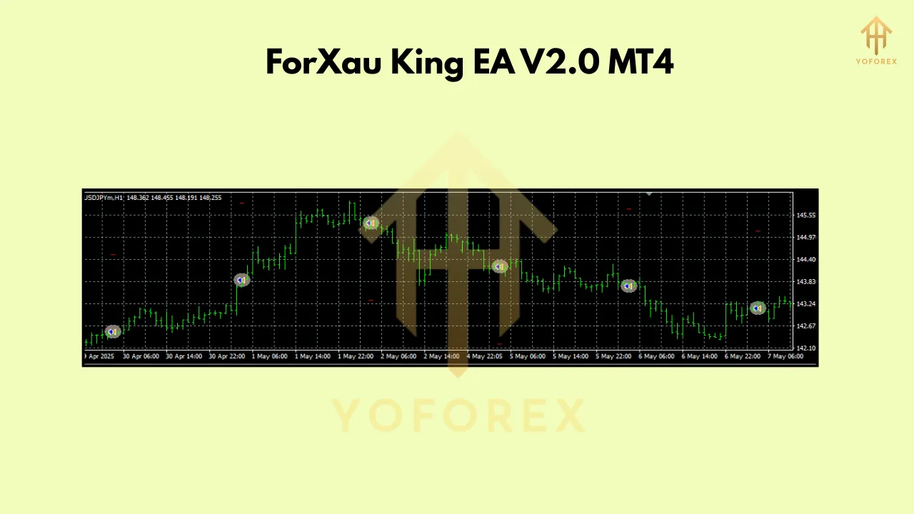 ForXau King EA V2.0 MT4 2 ForXau King EA V2.0 MT4