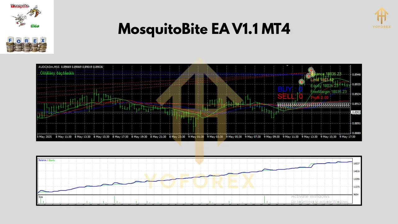 MosquitoBite EA V1.1 MT4