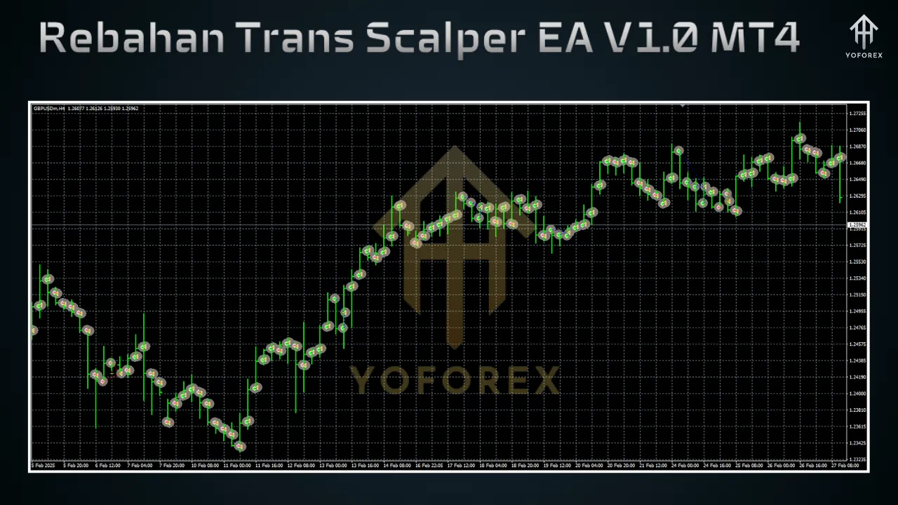 Rebahan Trans Scalper EA V1.0 MT4