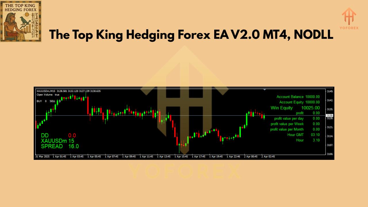 Top king Hedging Forex EA V2.0 MT4